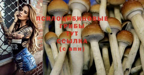 прущий лед Каменка