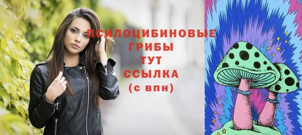 прущий лед Каменка